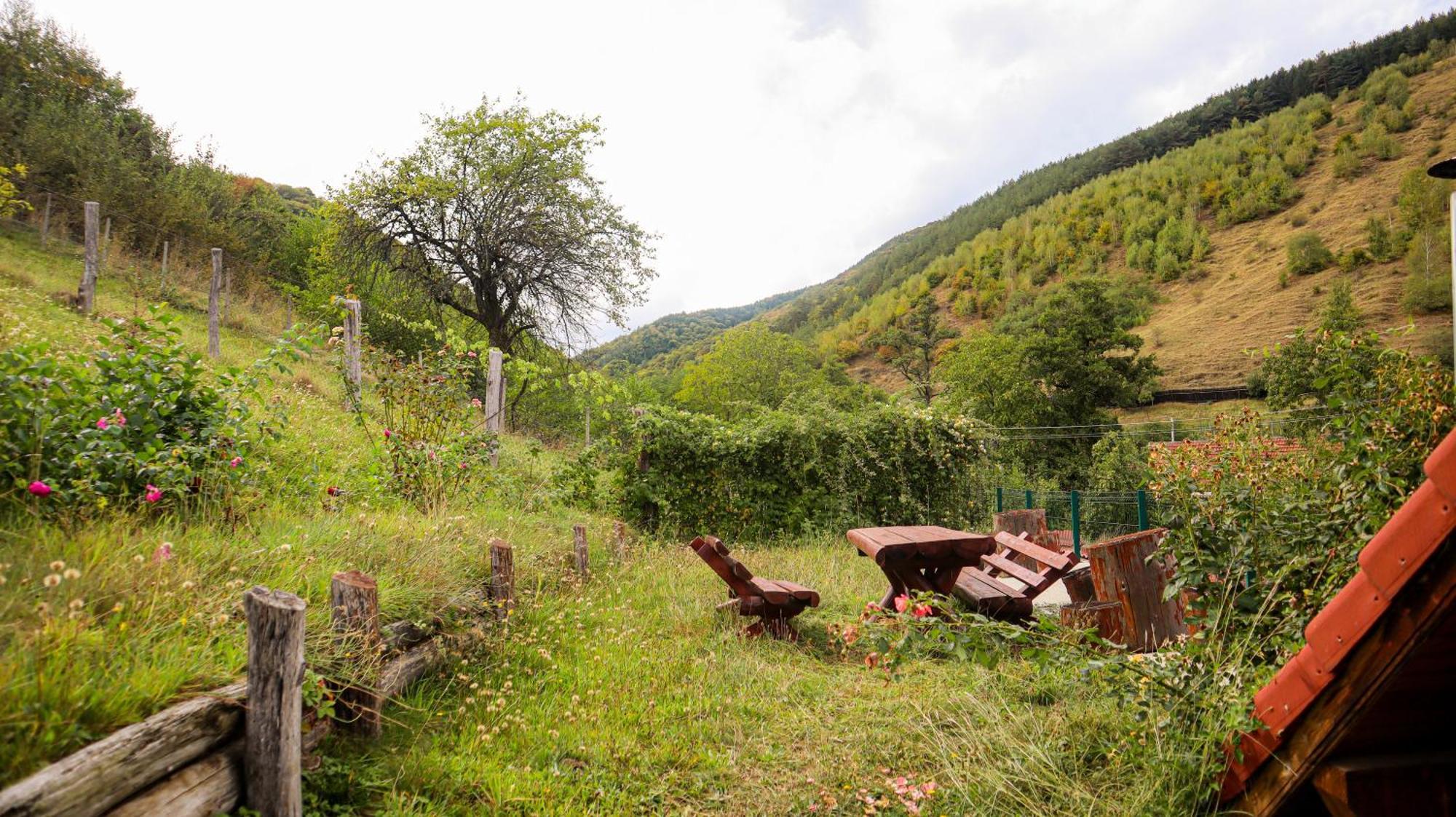 Marginimea Sibiului - Pensiunea Darian & David Orlat Экстерьер фото